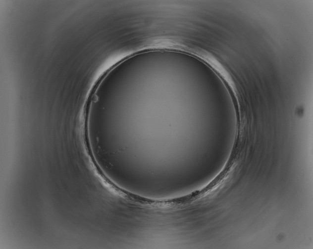 X0000098051053200803281450