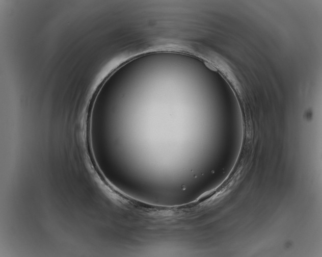X0000098051054200803281450