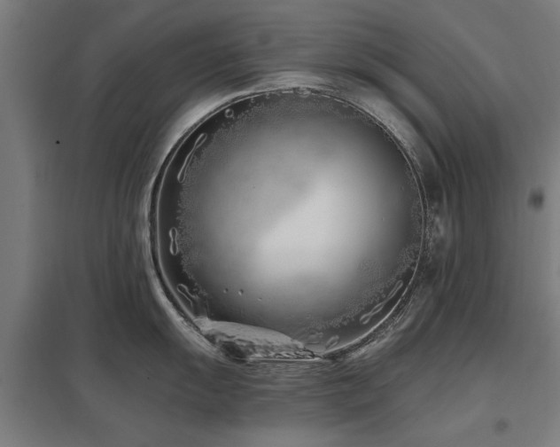 X0000098051055200803281450