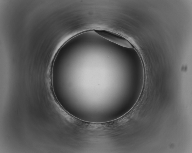 X0000098051056200803281450