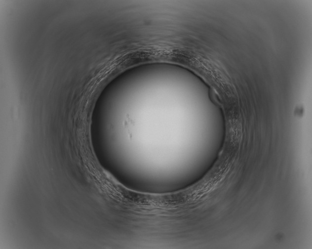 X0000098051057200803281450