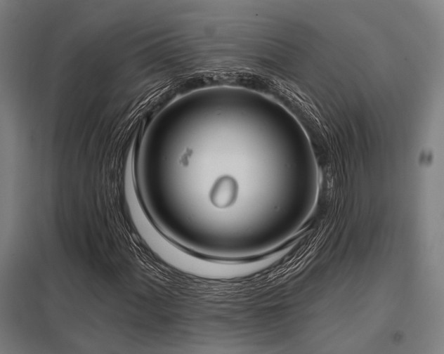 X0000098051060200803281450
