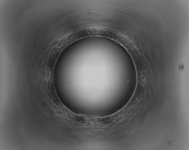 X0000098051061200803281450