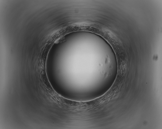 X0000098051062200803281450