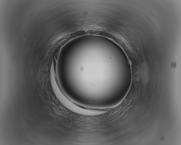 X0000098051063200803281450