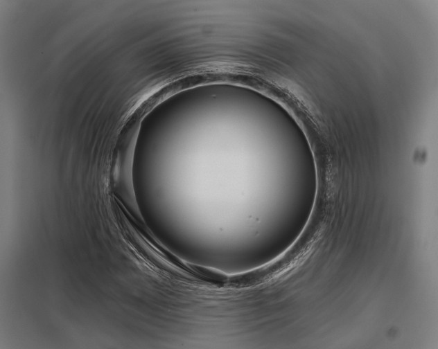 X0000098051065200803281450