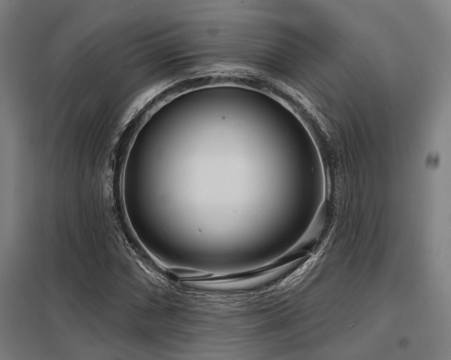 X0000098051066200803281449