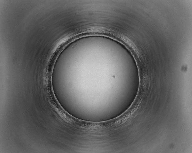X0000098051067200803281449