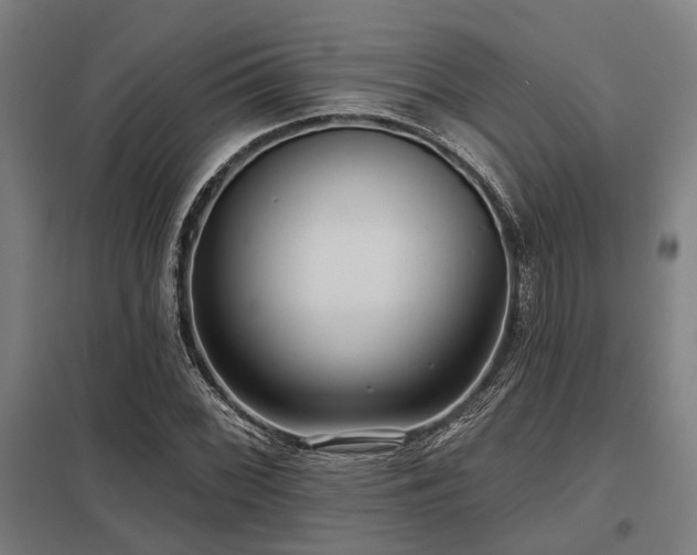 X0000098051068200803281449