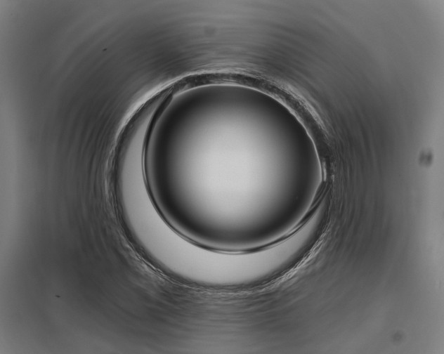 X0000098051069200803281449