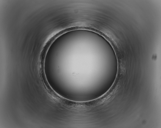 X0000098051070200803281449