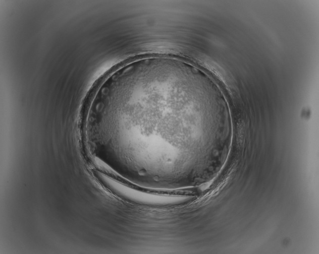 X0000098051071200803281449
