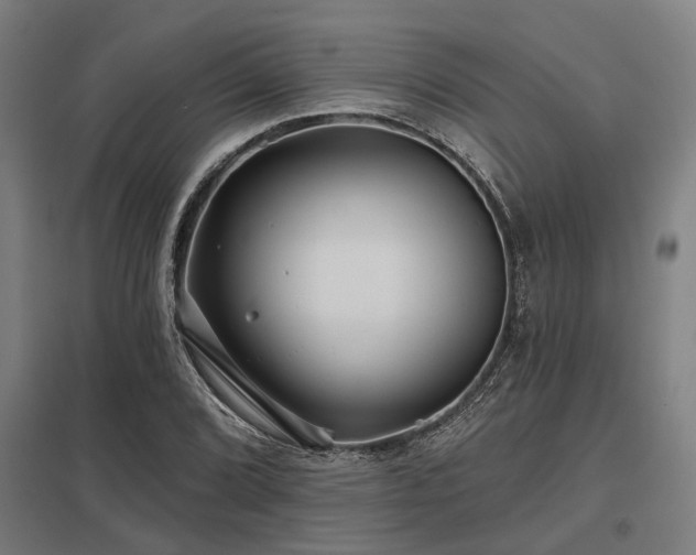 X0000098051072200803281449