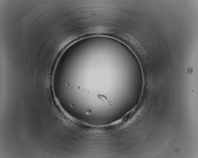 X0000098051073200803281449