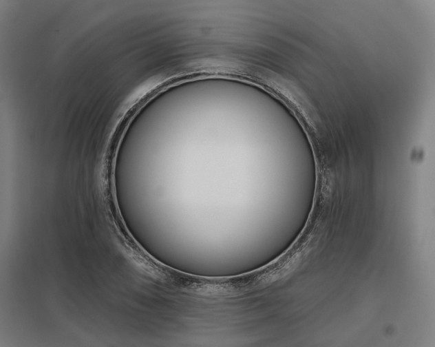 X0000098051074200803281449