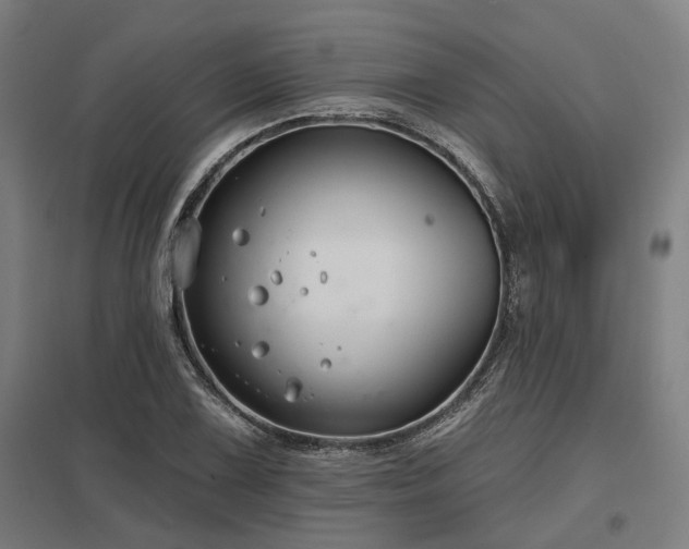 X0000098051075200803281449