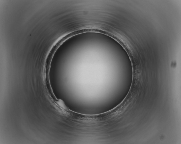 X0000098051076200803281449