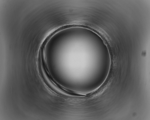 X0000098051077200803281449