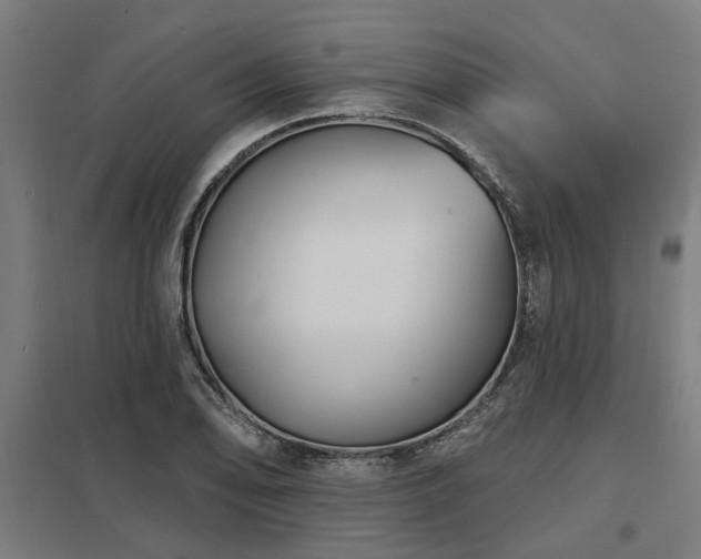 X0000098051078200803281449