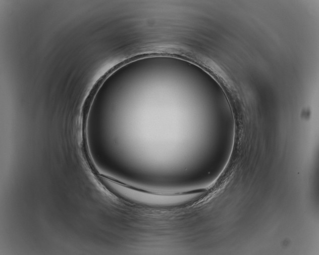 X0000098051079200803281449