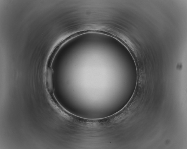 X0000098051080200803281449