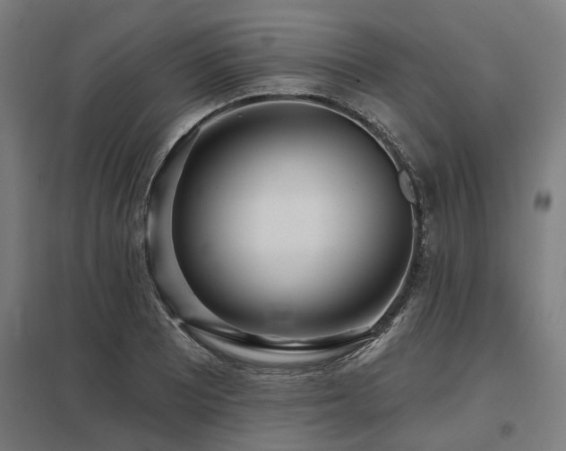 X0000098051081200803281449