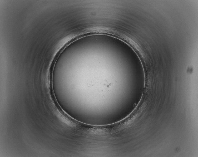 X0000098051082200803281449