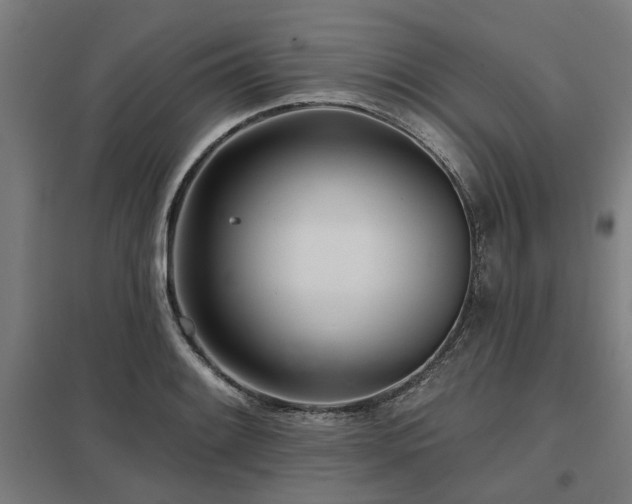 X0000098051084200803281449