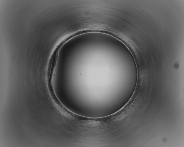 X0000098051085200803281449