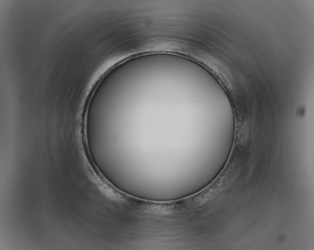 X0000098051086200803281449