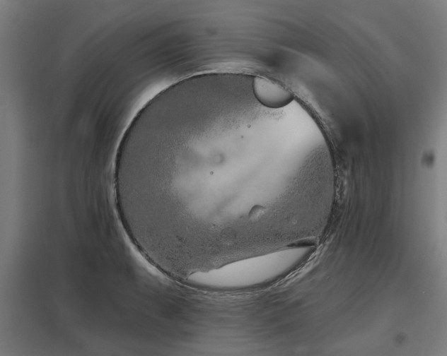 X0000098051087200803281449