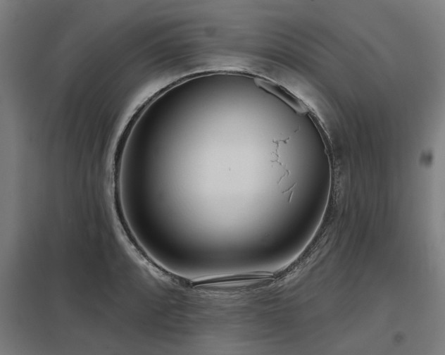 X0000098051088200803281449