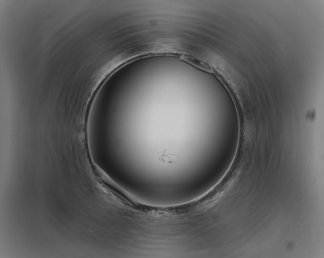 X0000098051089200803281449
