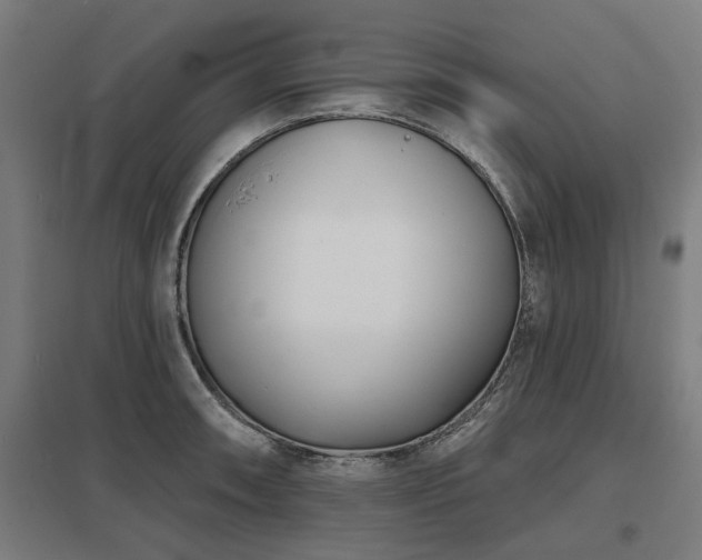 X0000098051090200803281449