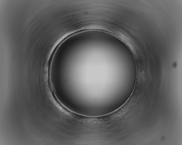 X0000098051092200803281449
