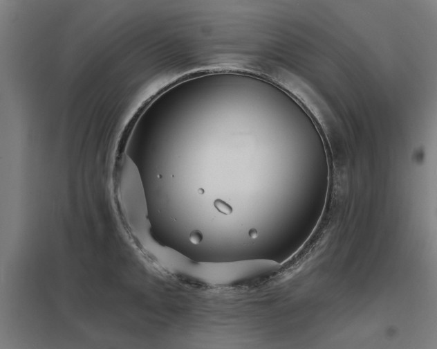 X0000098051093200803281449