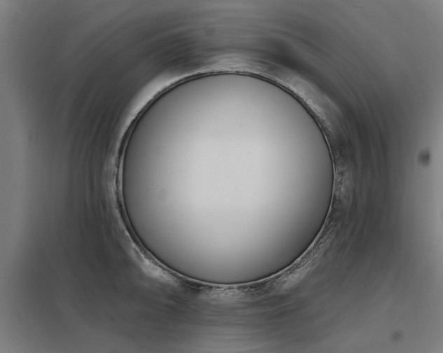 X0000098051094200803281449
