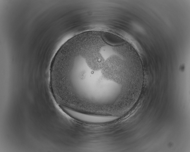 X0000098051095200803281449
