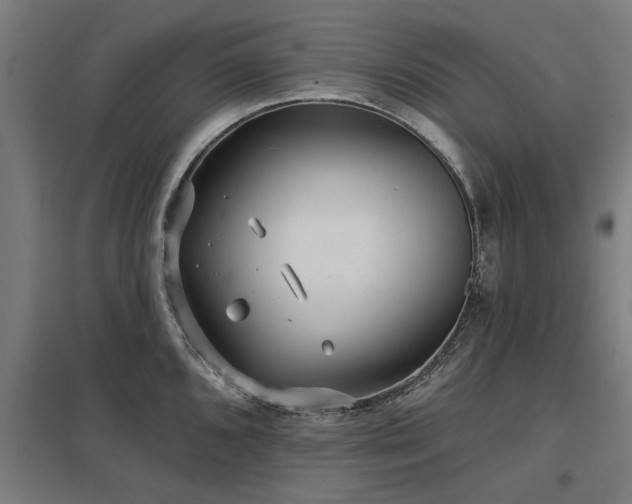X0000098051096200803281449