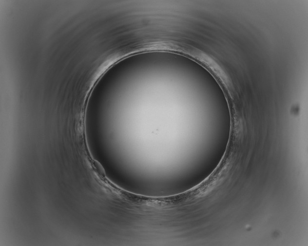 X0000098051097200803281449