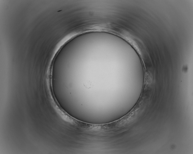 X0000098051098200803281449
