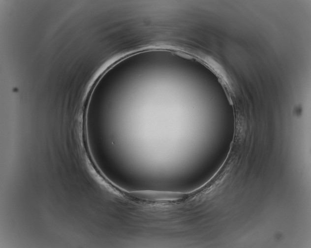 X0000098051100200803281449