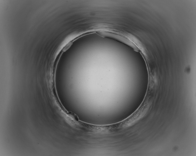 X0000098051101200803281449
