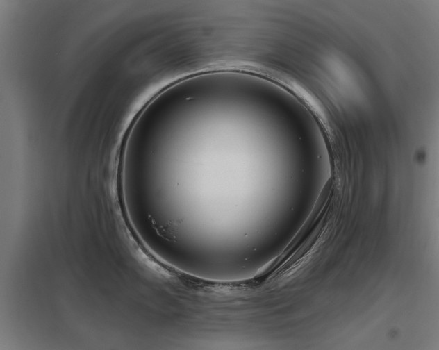 X0000098051102200803281449
