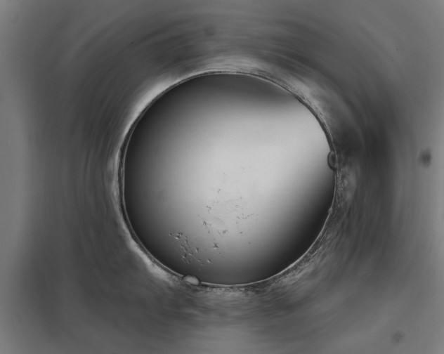 X0000098051103200803281449