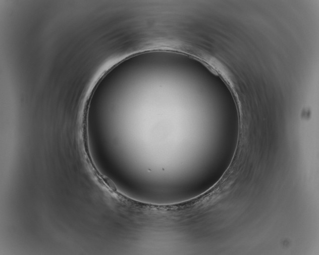 X0000098051104200803281449