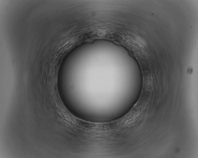 X0000098051105200803281448