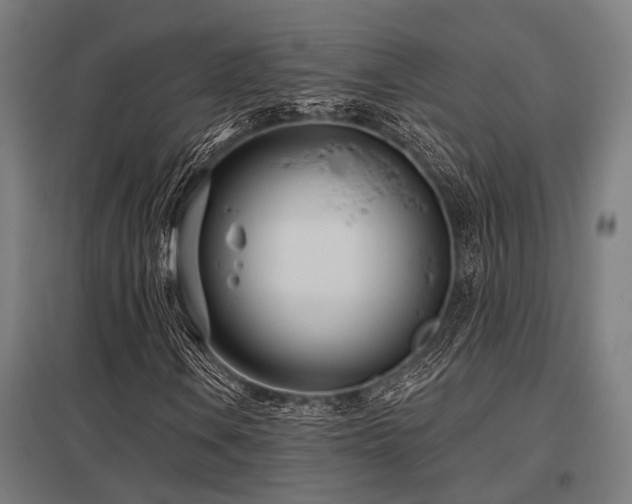 X0000098051106200803281448