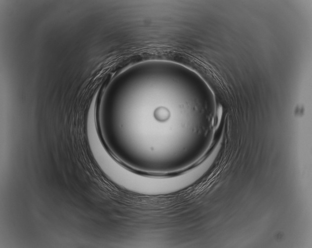 X0000098051107200803281448