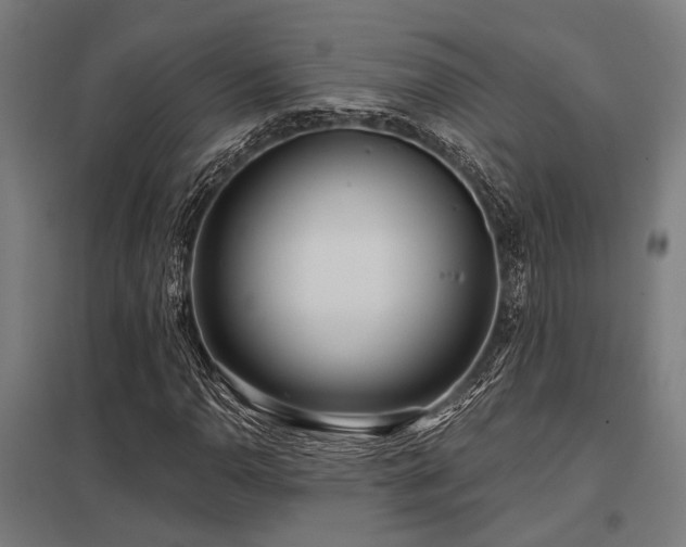 X0000098051110200803281448
